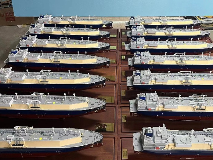 Customized Vessel Model
